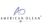 Porcelain and Ceramic Tile from American Olean by Floor City USA